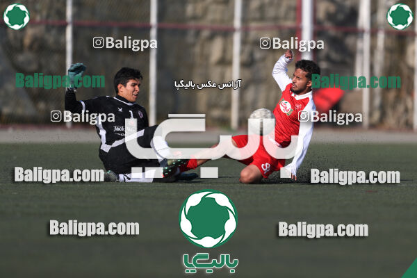 پرسپولیس 1–1 هوادار