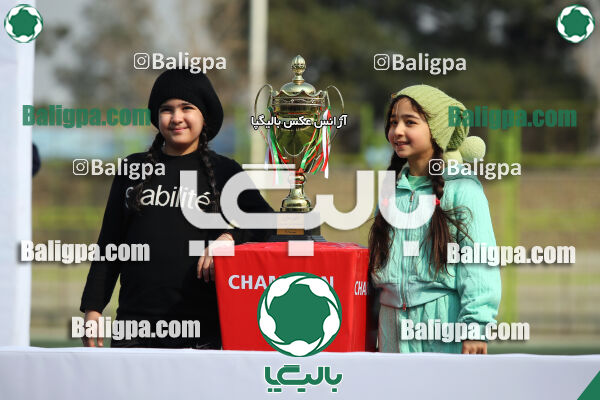 توانا 2–3 سایپا