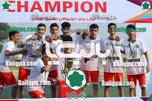 توانا 2–3 سایپا