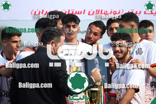 توانا 2–3 سایپا