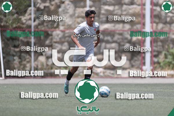 پرسپولیس 2–2 نامدار برق