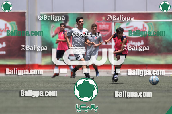 پرسپولیس 2–2 نامدار برق