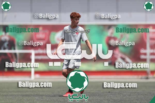 پرسپولیس 2–2 نامدار برق