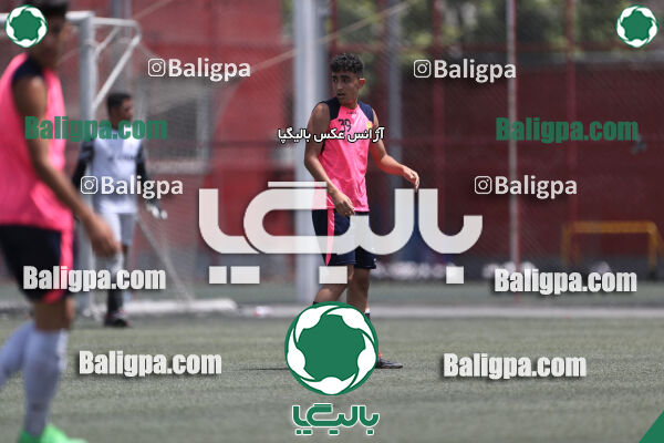 پرسپولیس 2–2 نامدار برق