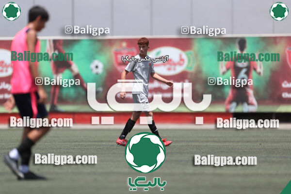 پرسپولیس 2–2 نامدار برق