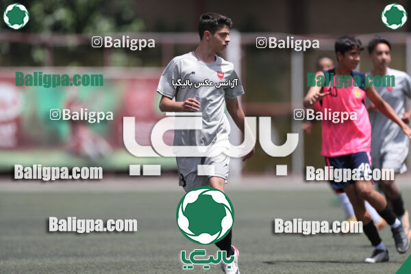 پرسپولیس 2–2 نامدار برق