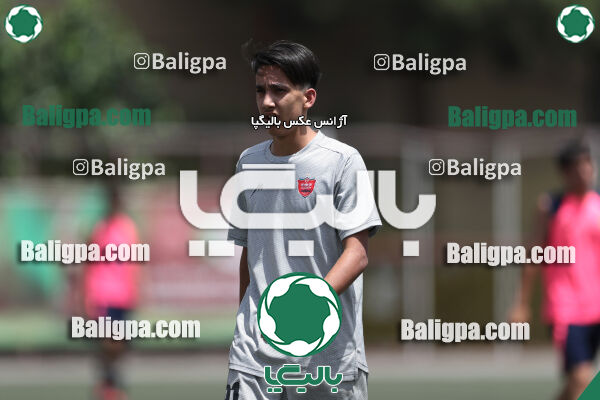 پرسپولیس 2–2 نامدار برق