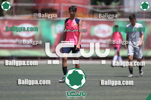 پرسپولیس 2–2 نامدار برق
