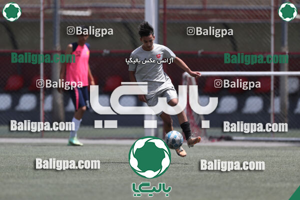 پرسپولیس 2–2 نامدار برق