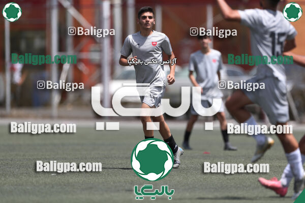 پرسپولیس 2–2 نامدار برق