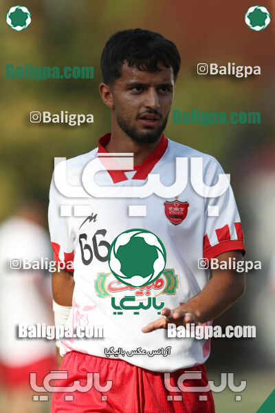 پرسپولیس 0–0 پیکان