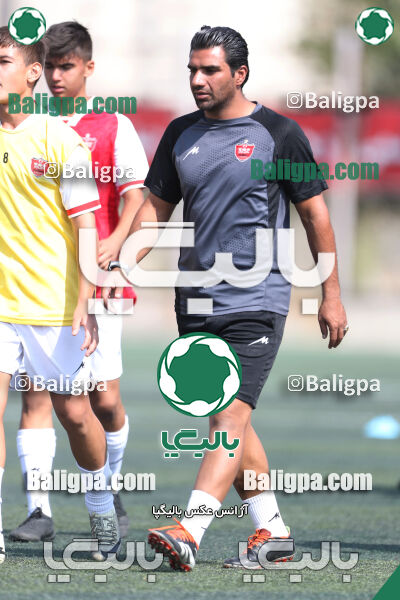 حامی 0–4 پرسپولیس