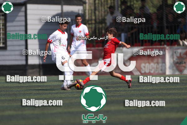 حامی 0–4 پرسپولیس