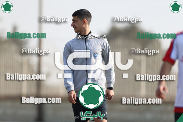 هوادار - داماش پارسه