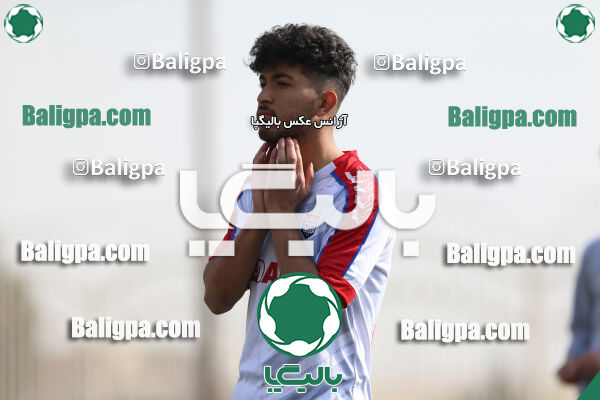 هوادار - داماش پارسه
