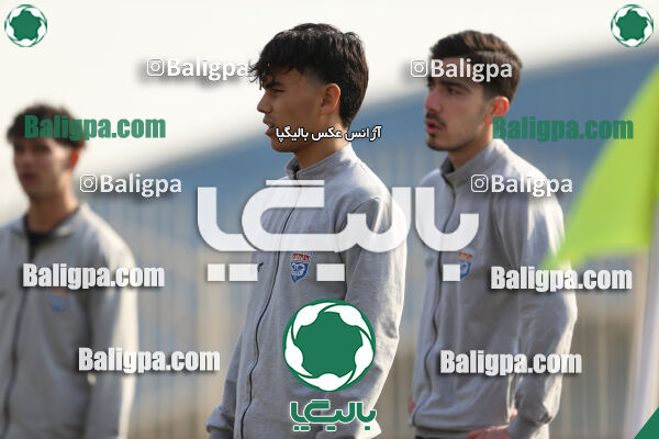 هوادار - داماش پارسه