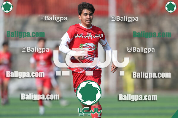 پرسپولیس 3–1 حامی