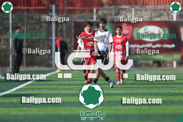 پرسپولیس 3–1 حامی