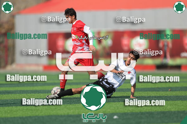 پرسپولیس 3–1 حامی