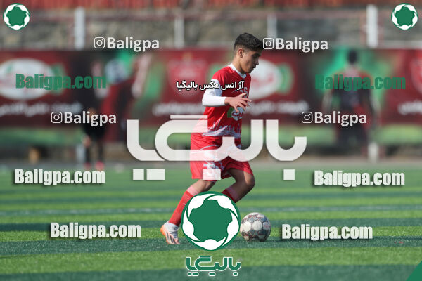 پرسپولیس 3–1 حامی