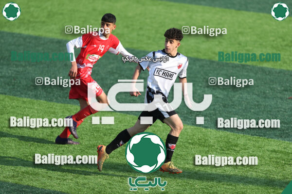 پرسپولیس 3–1 حامی