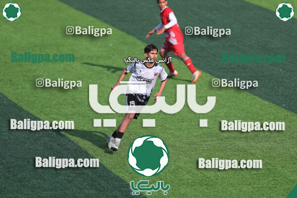 پرسپولیس 3–1 حامی
