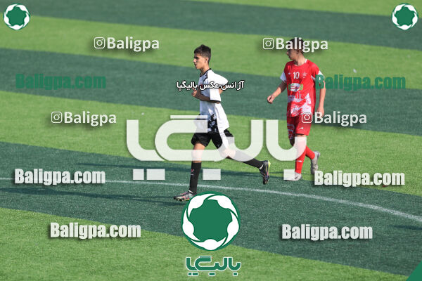 پرسپولیس 3–1 حامی