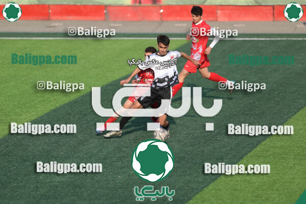 پرسپولیس 3–1 حامی