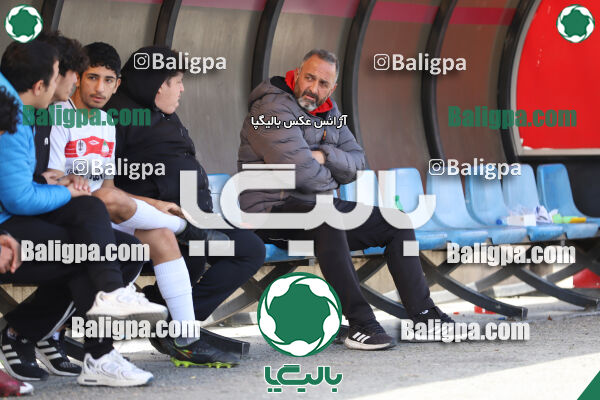 کیا 4–0 شاهین