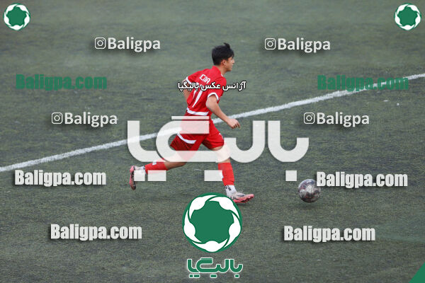 کیا 4–0 شاهین