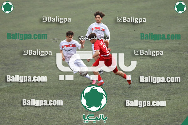 کیا 4–0 شاهین