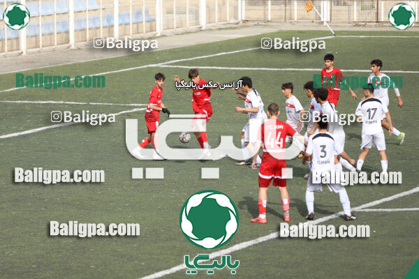 کیا 4–0 شاهین