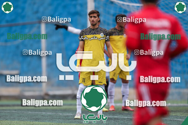 رعد پدافند ۸ - ۰ پرشیا برق ایرانیان