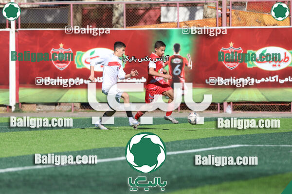 پرسپولیس 5–0 شاهین