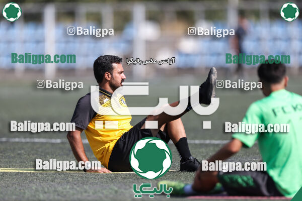 کیا 1–1 شاهین