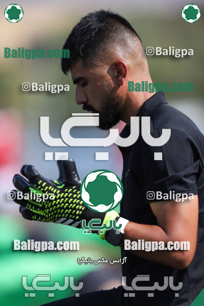 کیا 1–1 شاهین