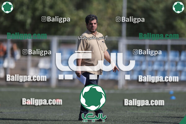کیا 1–1 شاهین