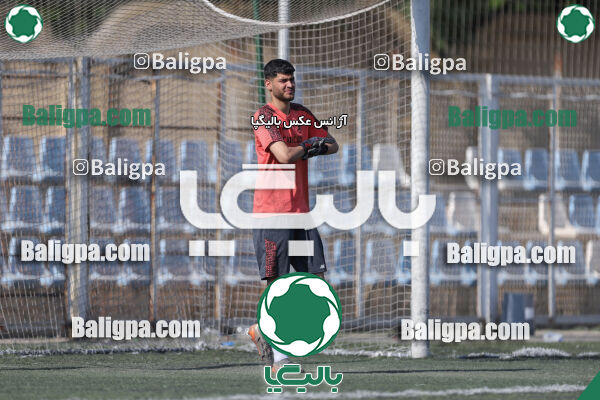 کیا 1–1 شاهین