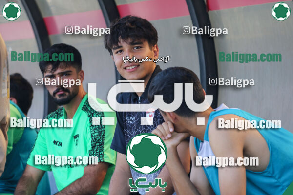 کیا 1–1 شاهین