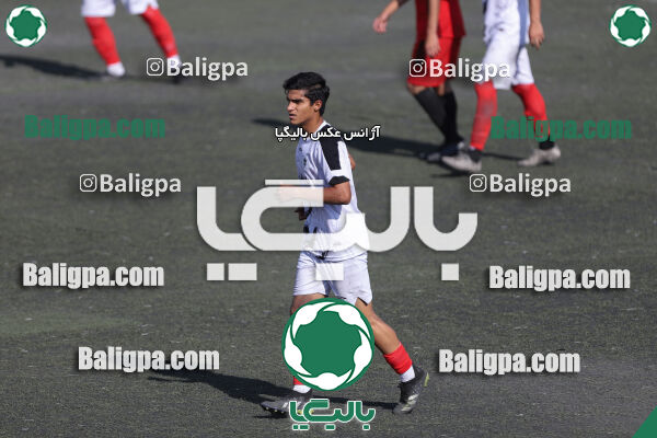 کیا 1–1 شاهین