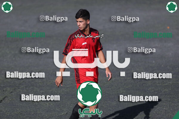 کیا 1–1 شاهین