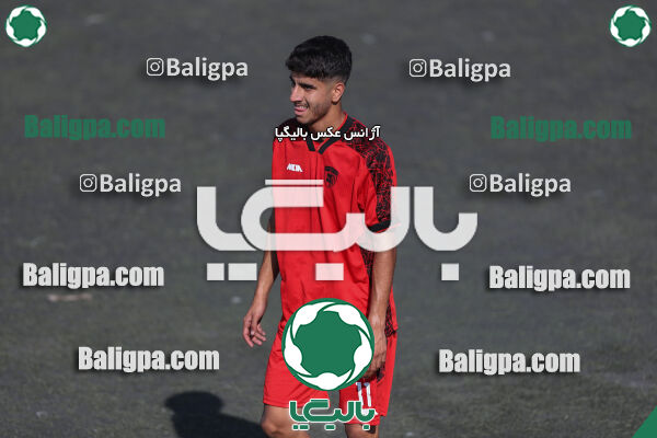 کیا 1–1 شاهین