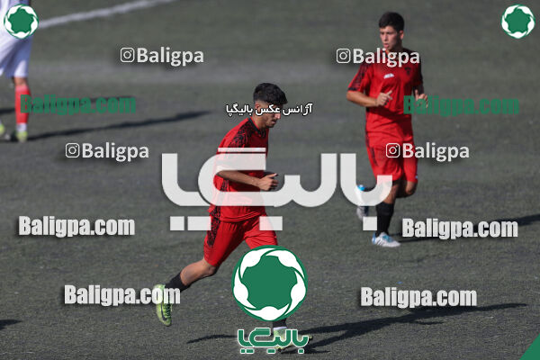 کیا 1–1 شاهین