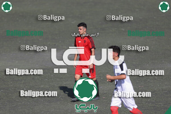 کیا 1–1 شاهین