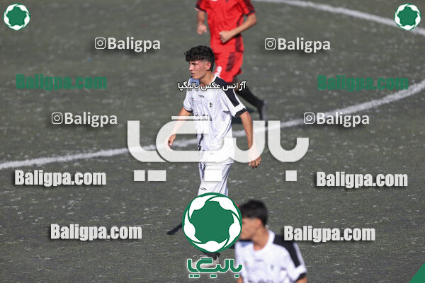 کیا 1–1 شاهین