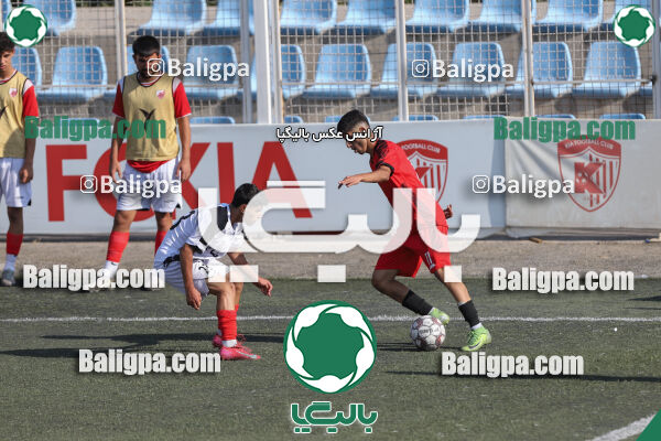 کیا 1–1 شاهین