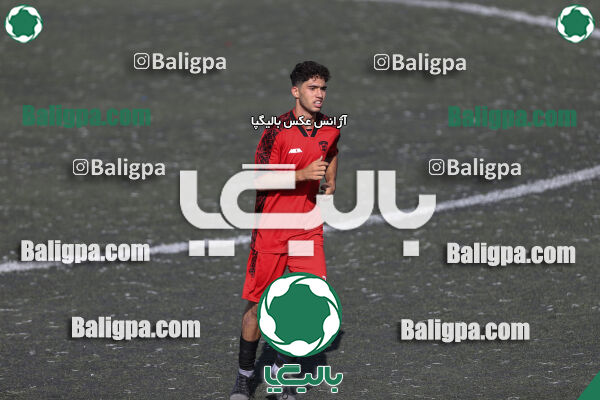کیا 1–1 شاهین