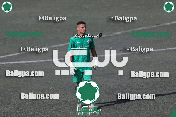 کیا 1–1 شاهین