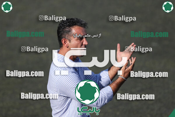 کیا 1–1 شاهین