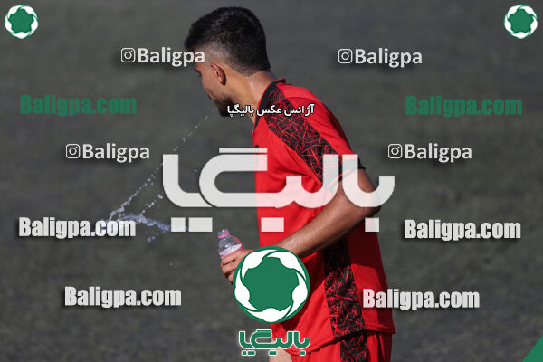 کیا 1–1 شاهین